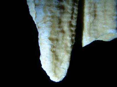espeleobuceo buceo en cuevas