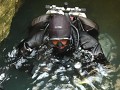 BUCEO EN CUEVAS (ESPELEOBUCEO)