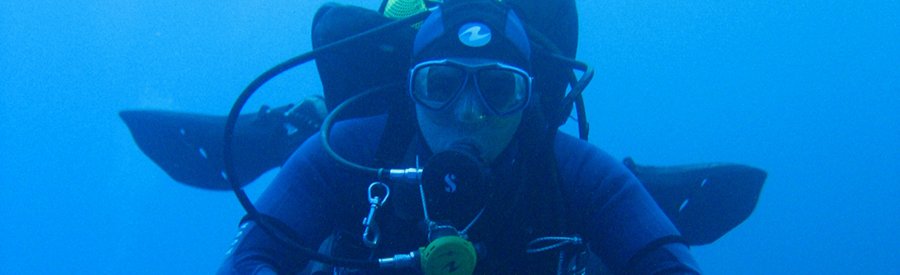 Purobuceo: quienes somos