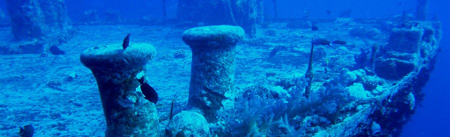 Speciality Courses: Buceo en barcos hundidos